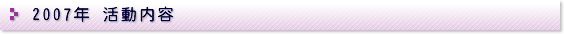 2007�N�������e